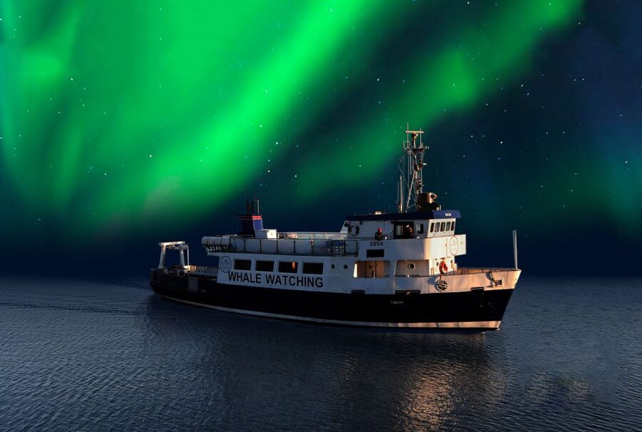 From Reykjavik: Northern Lights Sightseeing Cruise - What happens when the sky refuses to cooperate
