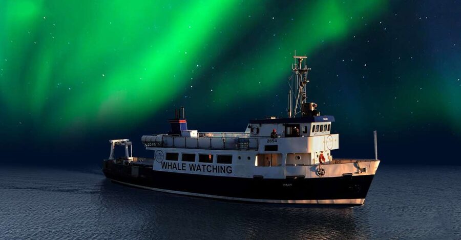 From Reykjavik: Northern Lights Sightseeing Cruise - How the Northern Lights hunt actually works