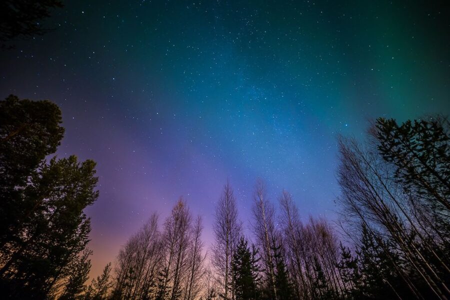 From Reykjavik: Northern Lights Tour - Timing your Reykjavik Northern Lights tour