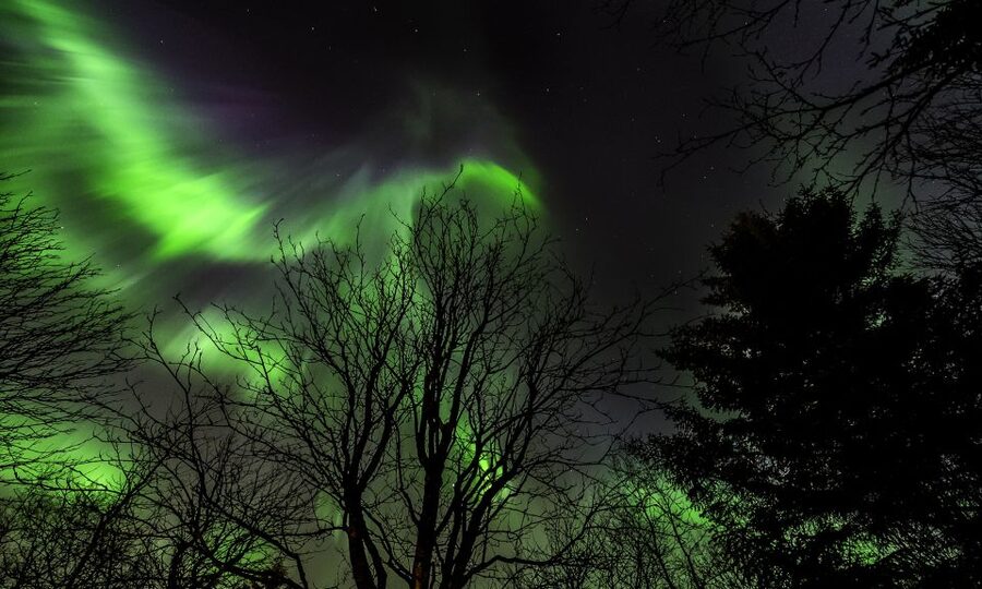 From Reykjavik: Northern Lights Tour with Lifetime Guarantee - What the $73 price really buys you