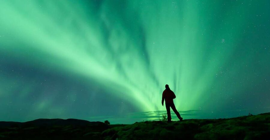 From Reykjavik: Northern Lights Tour - What happens at the viewing stop