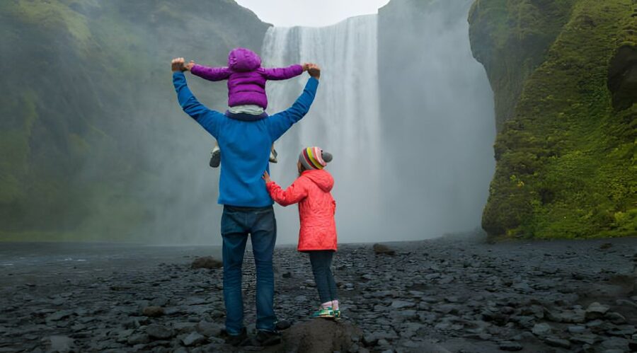 From Reykjavik: Private South Coast Tour in Iceland - Dyrhólaey depends on the season