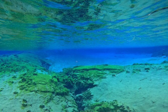 From Reykjavik- Silfra Snorkeling transfer included - What the 40-minute snorkel feels like