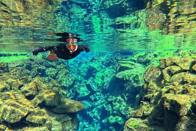 From Reykjavik- Silfra Snorkeling transfer included - Guides, safety, and group size
