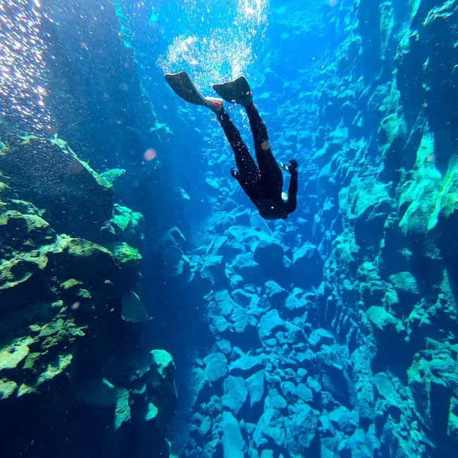 From Reykjavik: Silfra Snorkeling with Free Photos - Practical details that affect your day