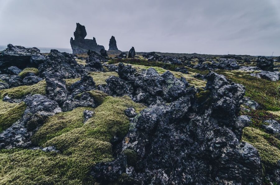 From Reykjavik: Snæfellsnes Full-Day Tour with Homemade Meal - The guides make the long drives count