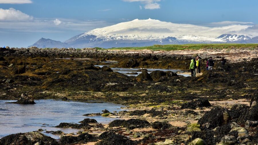 From Reykjavik: Snaefellsnes National Park - Small Group - What the minibus format adds
