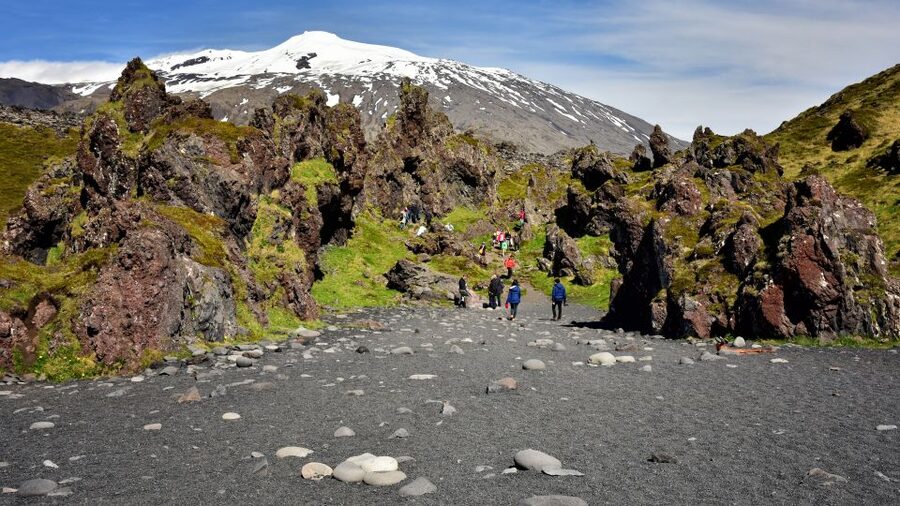 From Reykjavik: Snaefellsnes National Park - Small Group - Ytri Tunga: pale sand and a chance of seals