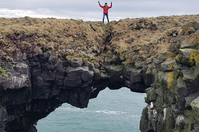 From Reykjavik: Snaefellsness Peninsula small group day tour - Ytri Tunga and the uncertain seal sighting