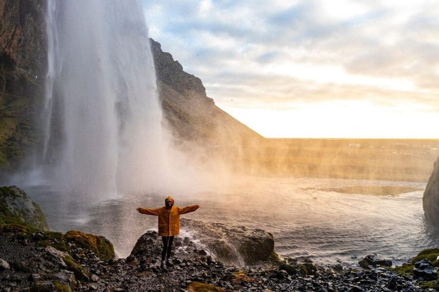 From Reykjavik: South Coast Tour & DC-3 Plane Wreck - Seljalandsfoss, the curtain of water