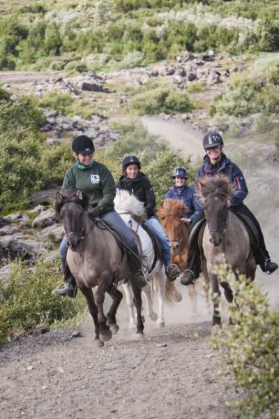 Viking Horseback Tour in Hafnarfjörður