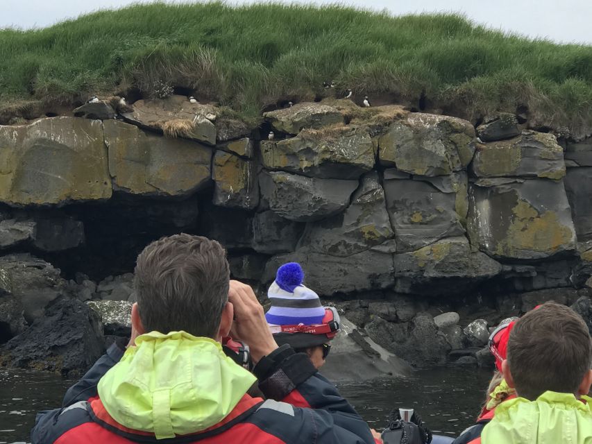 From Reykjavik: Whale Watching Tour by Speedboat - My call: book it for the boat and the wildlife