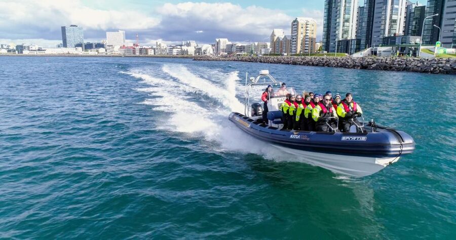From Reykjavik: Whale Watching Tour by Speedboat - Harpa, Sun Voyager, and the view from the water