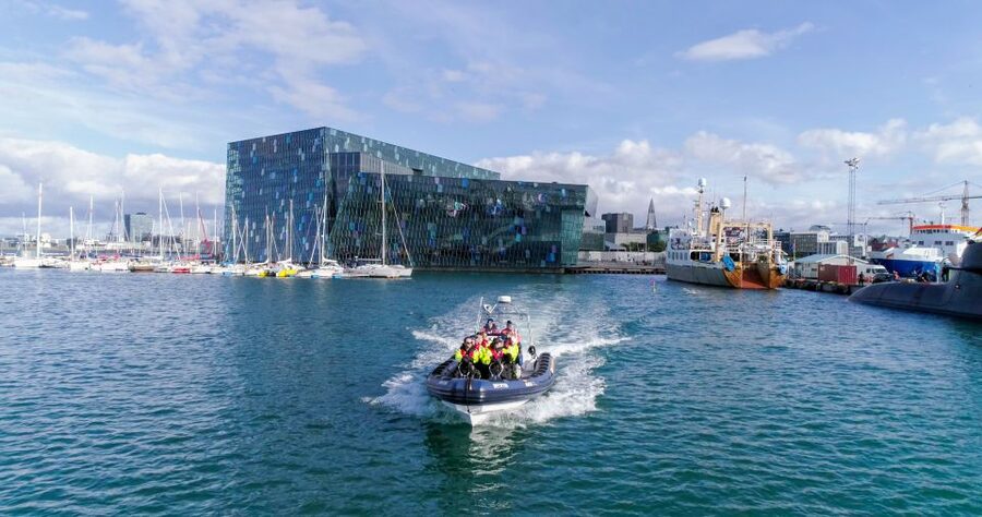 From Reykjavik: Whale Watching Tour by Speedboat - Cruising close to the puffin islands