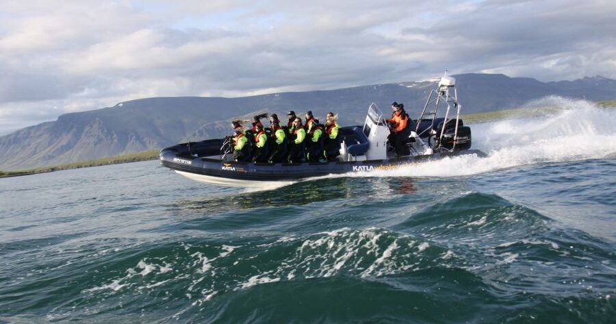 From Reykjavik: Whale Watching Tour by Speedboat - Is $192 a fair price?