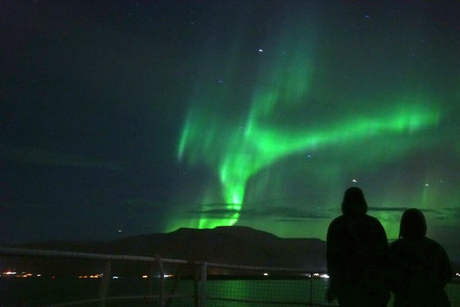 From Reykjavik: Whales and Northern Lights Boat Tour - Small planning details that make a difference