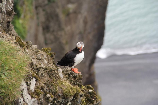 Glacier Lagoon, Diamond Beach, Black Sand Beaches and Waterfalls - The private vehicle changes the pace
