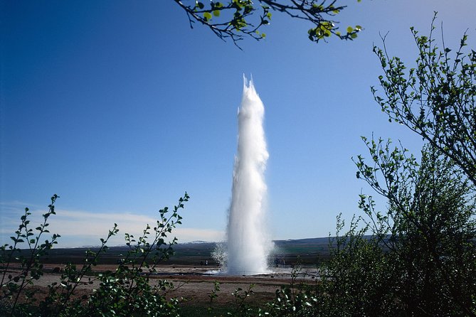 Golden Circle 7 Hours Bus Tour from Reykjavik - Who should book this tour?