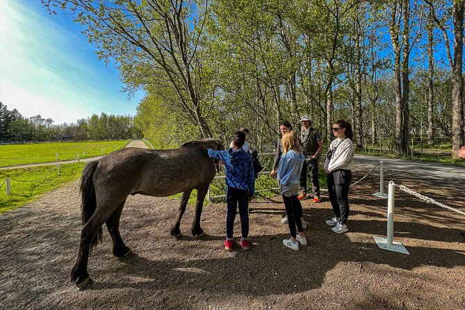 Golden Circle and Lunch at Fridheimar Tomato Farm - with photos - Gullfoss, Iceland’s great waterfall