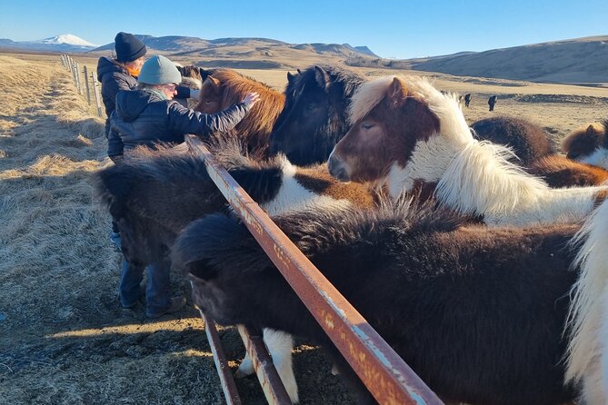 Golden Circle Experience - Private Eco Tour - Gullfoss, a waterfall with more than one viewpoint