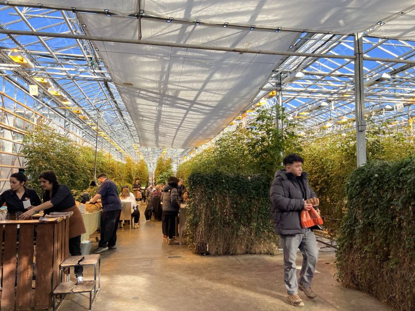Golden circle, hot spring bakery, tomato farm private tour - Who should book this tour?