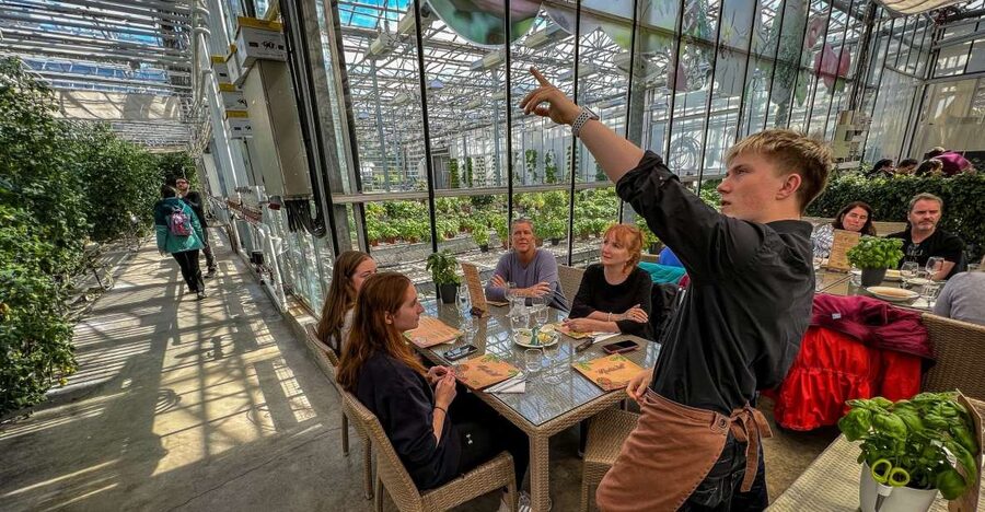 Golden Circle & Lunch at Fridheimar Tomato Farm- with photos - The guide and the feel of a small group