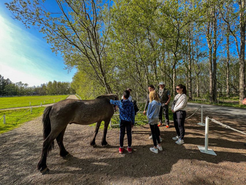 Golden Circle & Lunch at Fridheimar Tomato Farm- with photos - Who should choose this day trip?