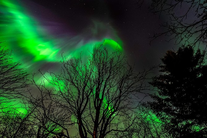 Golden Circle & Northern lights in Iceland - Thingvellir: where Iceland’s ground pulls apart