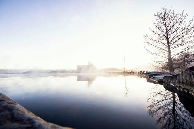 Golden Circle, Secret Lagoon and Kerid Crater Tour from Reykjavik - Thingvellir, where geology and government meet