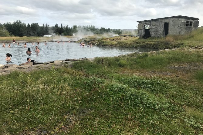 Golden Circle & Secret Lagoon & Friðheimar (lunch included) - PRIVATE TOUR - Friðheimar: lunch in a geothermal tomato greenhouse