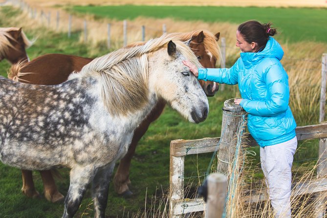 Golden Circle & Viking Horse Experience - Gullfoss: the big visual payoff