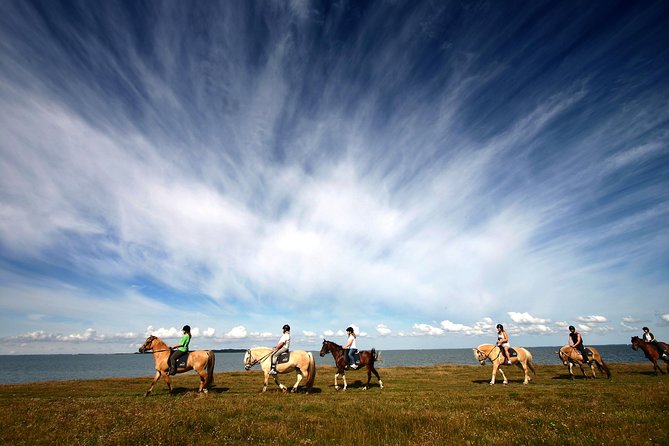 Golden Circle & Viking Horse Experience - What the bus adds to a long day