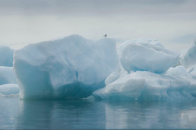 Guided Glacier Lagoon and Diamond Beach Day Trip from Reykjavik - Freysnes provides a needed meal break