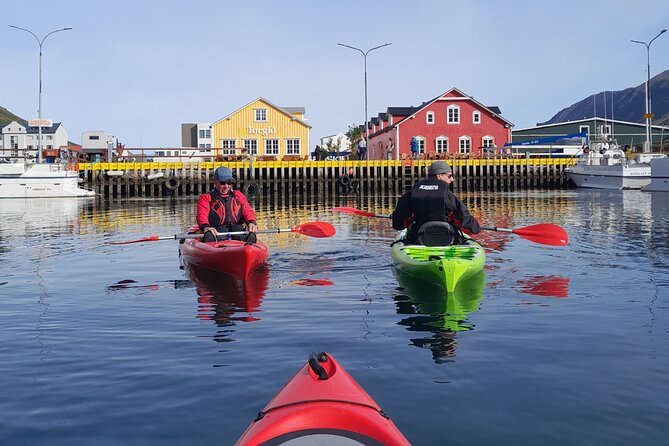 Guided kayak tour in Siglufjörður / Siglufjordur. - Key points before you book