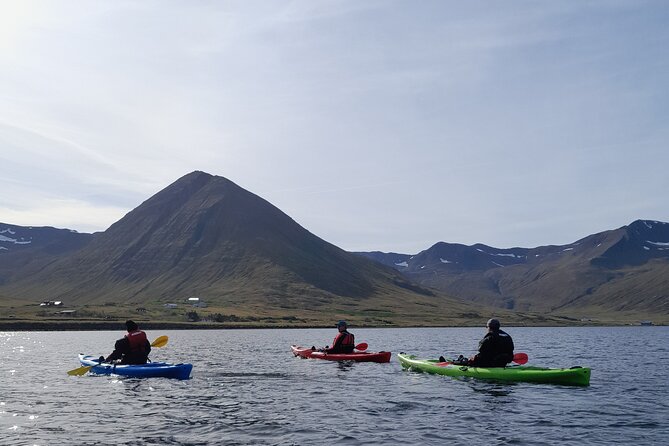 Guided kayak tour in Siglufjörður / Siglufjordur. - Getting ready at Siglo Sea Headquarters