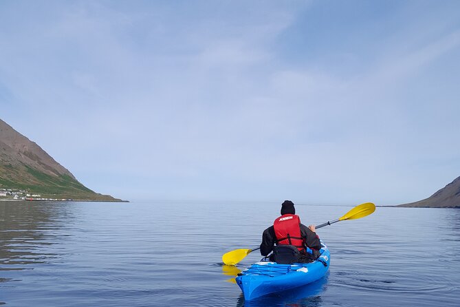 Guided kayak tour in Siglufjörður / Siglufjordur. - How much value is there in $97.43?