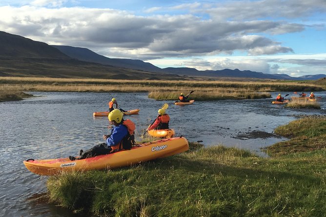 Guided Sit on Top Kayak Tour near Akureyri - Why the horse country adds character