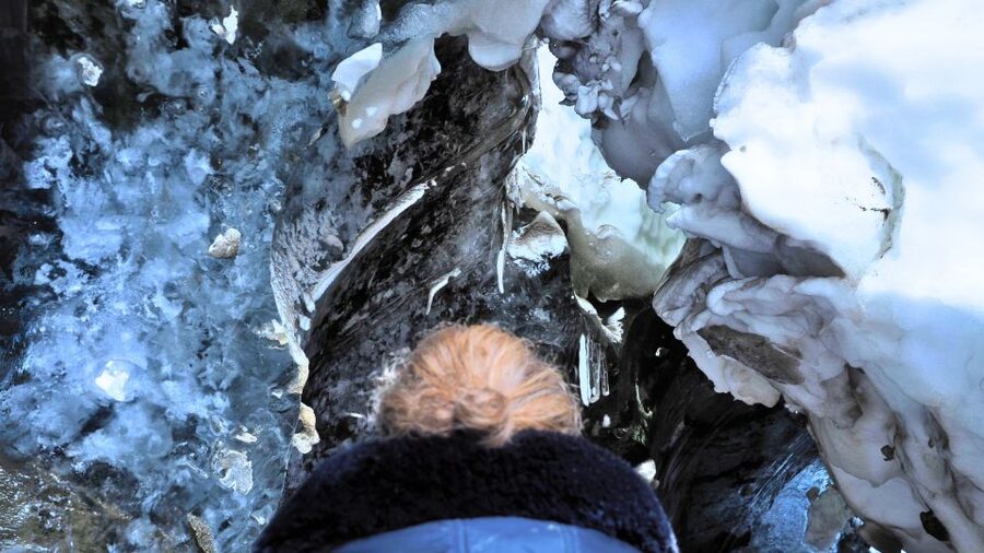 Gullfoss: Ice Cave and Glacier Tour in Glacier Monster Truck - Should You Book the Langjökull Monster Truck Tour?