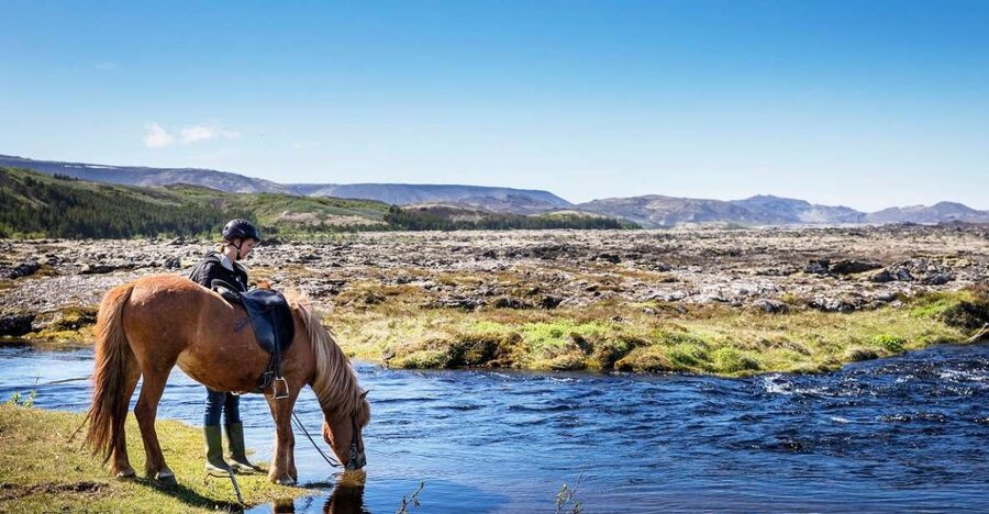 Hafnarfjörður: Horseback Riding Tour in Reykjavik Area - Why this ride works so well for beginners