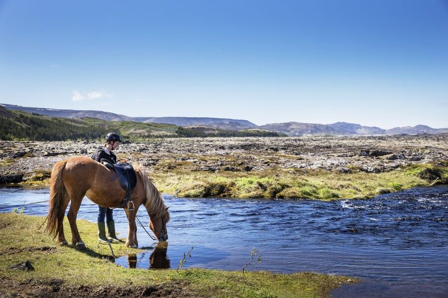 Hafnarfjörður: Horseback Riding Tour in Reykjavik Area - The 50-minute ride through volcanic country