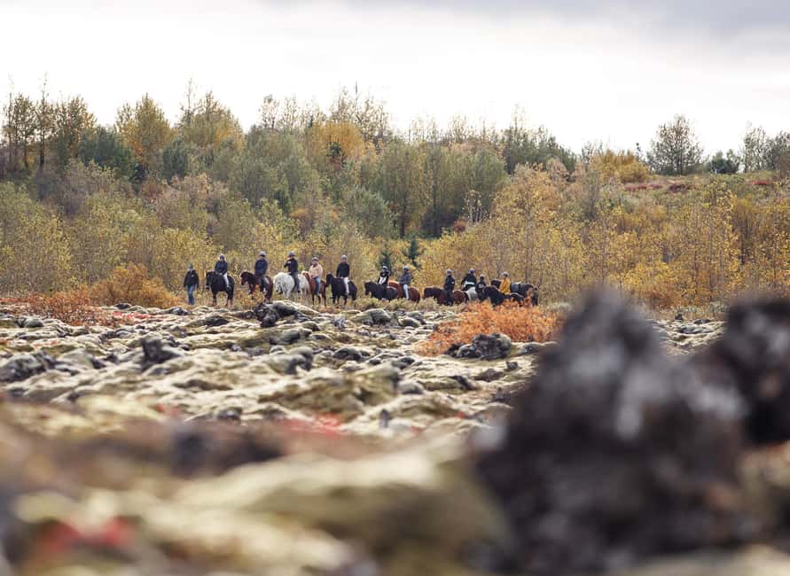 Hafnarfjörður: Horseback Riding Tour in Reykjavik Area - Meeting the Icelandic horse