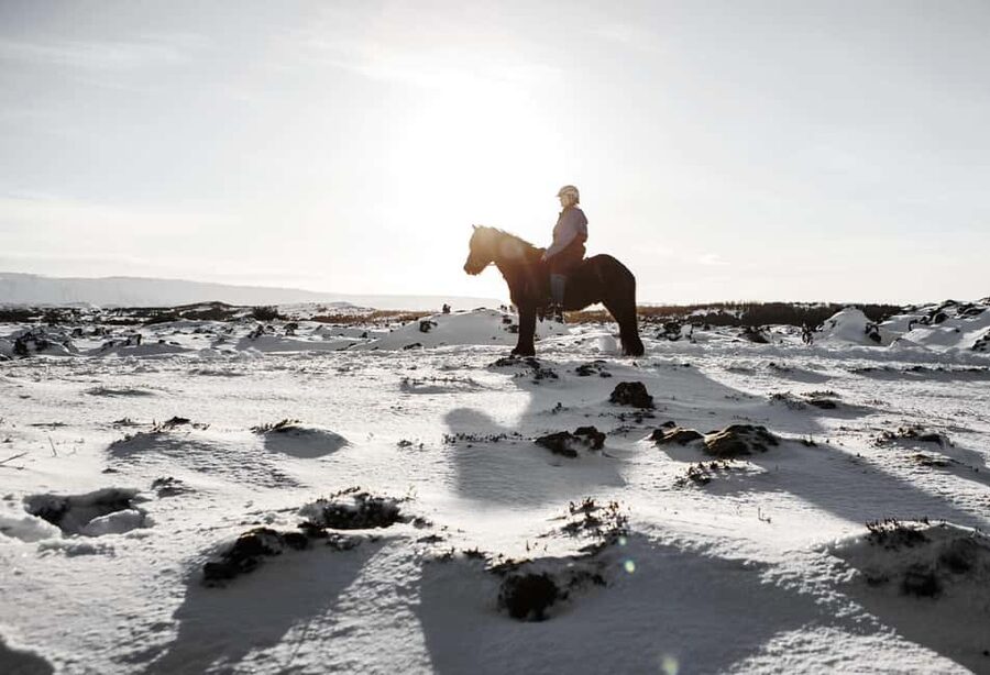 Hafnarfjörður: Horseback Riding Tour in Reykjavik Area - Warm clothing makes a real difference