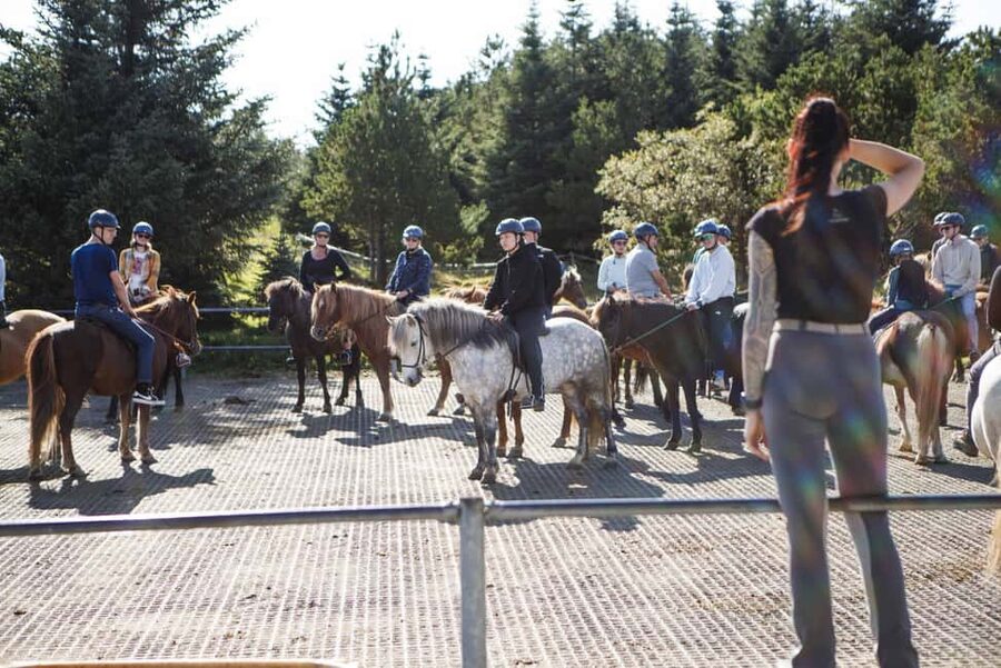 Hafnarfjörður: Horseback Riding Tour in Reykjavik Area - Is $132 a fair price?