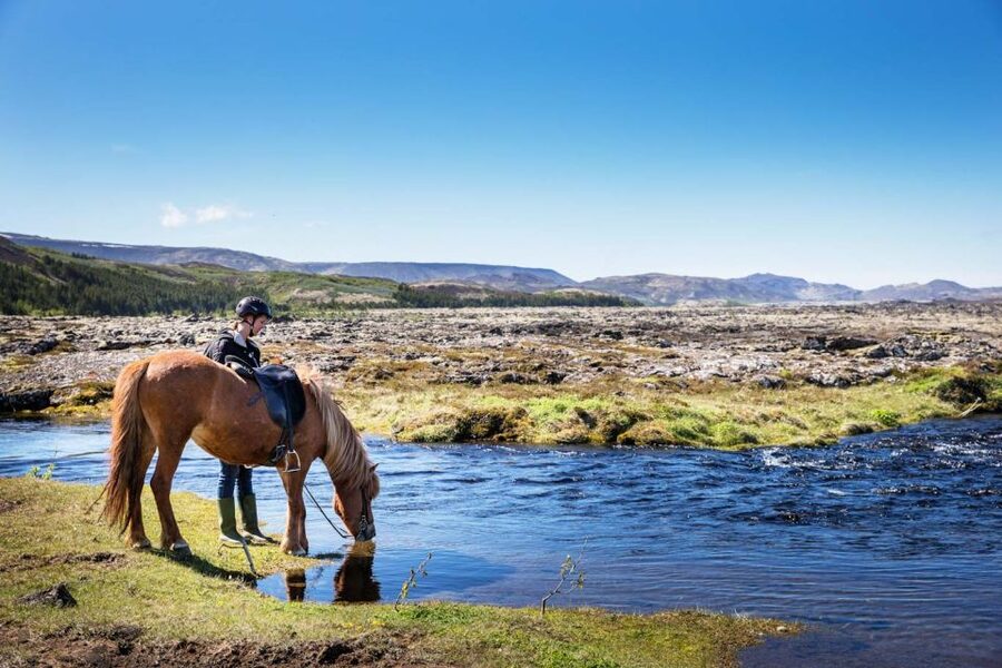 Hafnarfjörður: Horseback Riding Tour in Reykjavik Area - From Sörlaskeið 26 to the stable