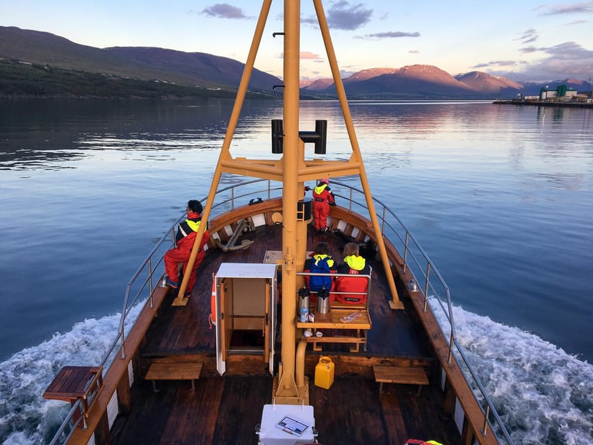 Hauganes: Whale Watching North Iceland - Why Hauganes is a smart place to watch whales