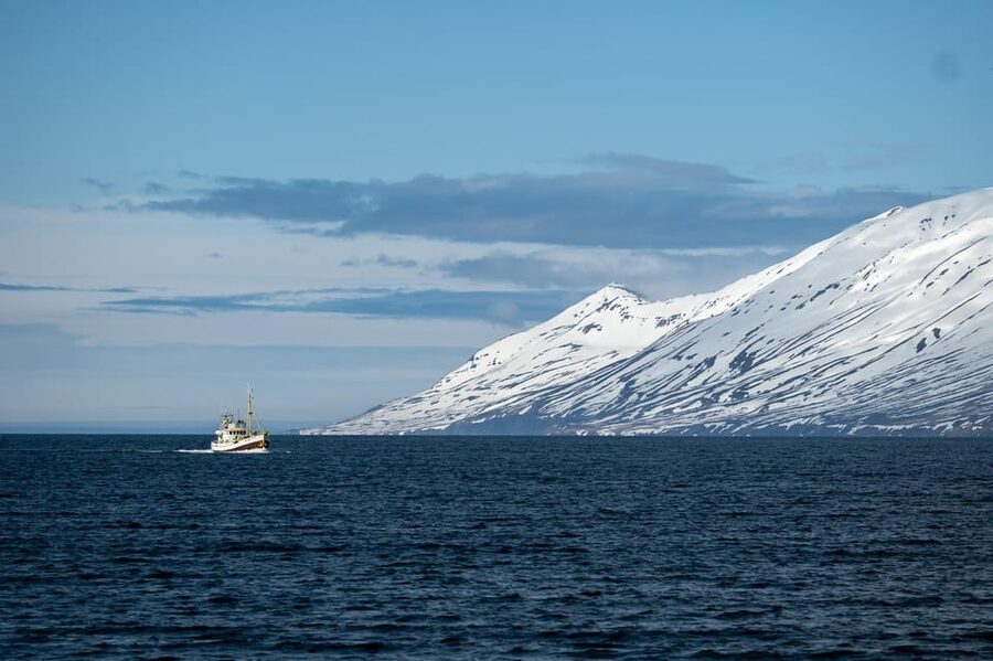 Hauganes: Whale Watching North Iceland - Warm coveralls, blankets, and cinnamon buns