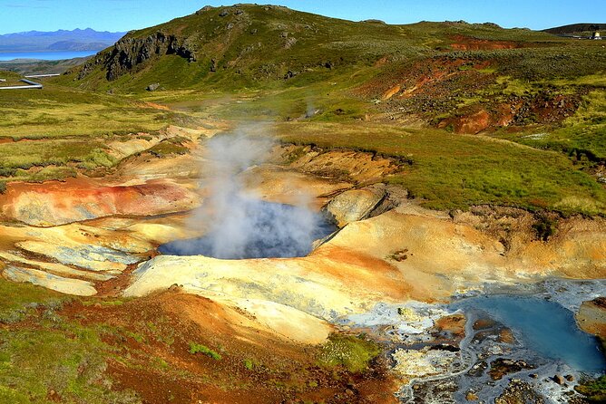 Helicopter tour from Reykjavik: Hengill Area with at site landing - Flying over Hellisheiði and the volcanic interior