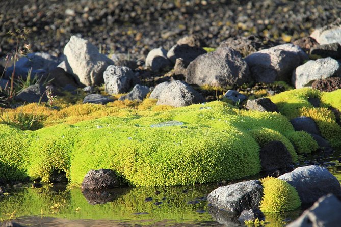 Highlights of Iceland / private guided super Jeep tour - What the price means for a group of four