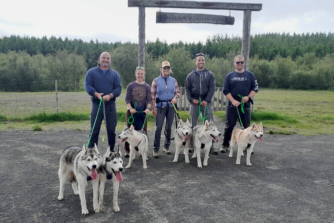 Hiking with Husky in Akureyri - Meeting Akureyri’s very vocal husky family