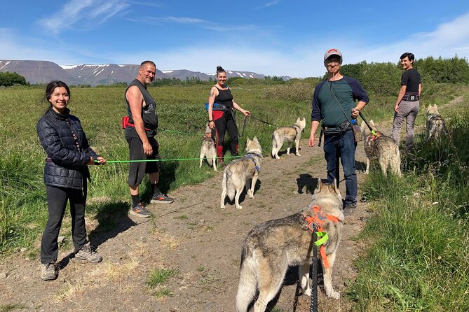 Hiking with Husky in Akureyri - Why the scenery matters